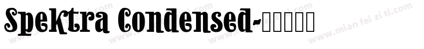 Spektra Condensed字体转换